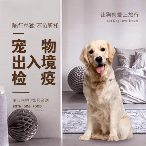 九龙宠物托运到哥伦比亚猫狗宠物入境规定和