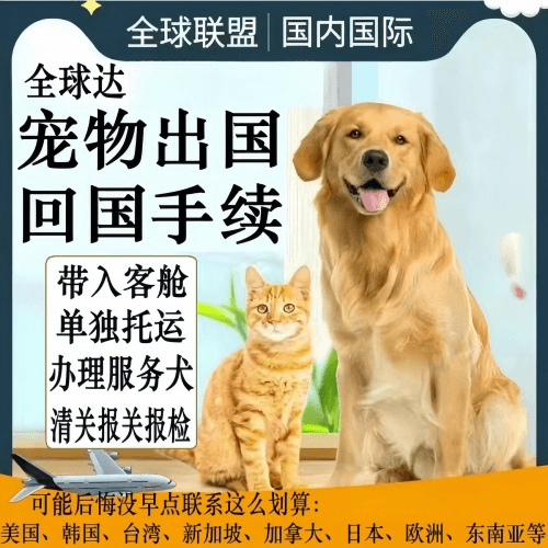 九龙宠物托运到柬埔寨宠物入境规定和要求