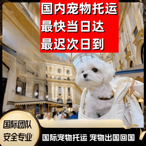 九龙到澳大利亚（澳洲）宠物入境规定和要求